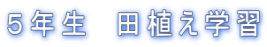 �T�N���@�c�A���w�K