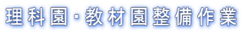 ���ȉ��E���މ��������