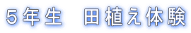 �T�N���@�c�A���̌�