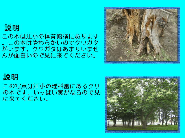 �U�N�� N.M. 2�y�[�W