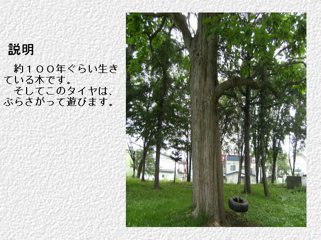 �U�N�� N.R. 2�y�[�W