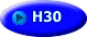 H30 